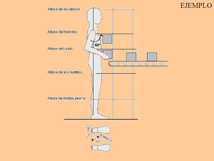 Diapositiva99 (06)